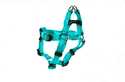 1-Inch X 30-Inch To 40-Inch Turquoise Adjustable Quick Fit Dog Harness